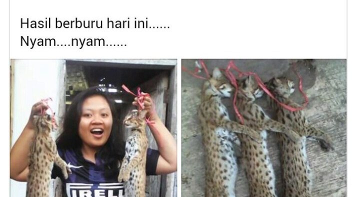 mahasiswi-pemakan-kucing-asal-jember-di-bully-netizen-b3kCFhUvMs