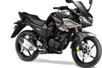 fz1