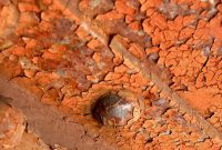 rust-165058_640