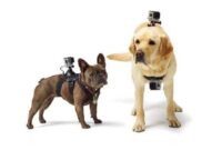 ANJING PAKAI GOPRO
