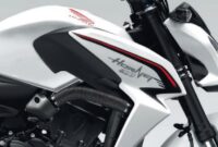Hornet-800-880×400 Hornet-800-880×400