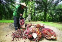 industri-kelapa-sawit