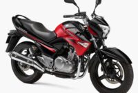 SUZUKI-GSR250-Suzuki-Inazuma-Jepang-1