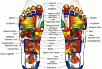 69085-reflexology
