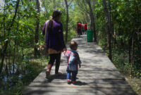 hutan mangrove surabaya