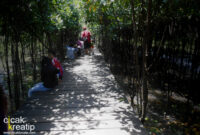 hutan mangrove surabaya3