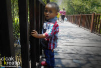 hutan mangrove surabaya4