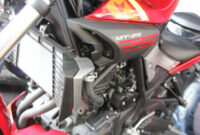 MT-25 (7)