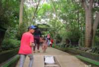 hutan-kota-trenggalek-cicak-kreatip-com-1