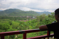 hutan-kota-trenggalek-cicak-kreatip-com-16