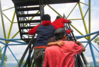 hutan-kota-trenggalek-cicak-kreatip-com-17