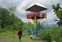 hutan-kota-trenggalek-cicak-kreatip-com-18