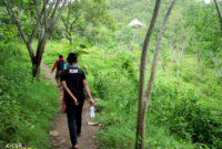 hutan-kota-trenggalek-cicak-kreatip-com-20
