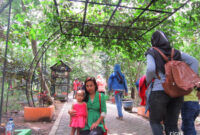 hutan-kota-trenggalek-cicak-kreatip-com