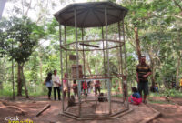 hutan-kota-trenggalek-cicak-kreatip-com-5