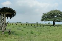 Taman_Nasional_Baluran_5