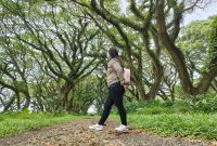 hutan_djawatan_banyuwangi_cicak_kreatip_com_6 (2) x 1009 hutan_djawatan_banyuwangi_cicak_kreatip_com_6 (2) x 1009