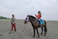 pantai_marina_boom_banyuwangi_cicak_kreatip_com3