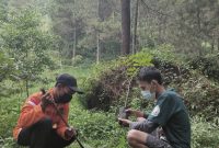 AnniversaryPBJT-2021