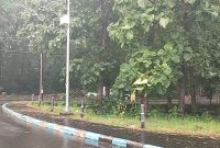alas-baluran- 1