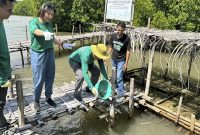 mpx-tanam-mangrove (3)