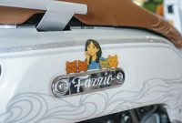 Fazzio Hybrid Zee Modification 3